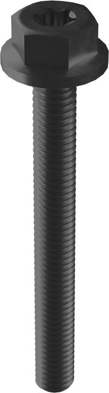 ENSTALL Mounting screw M6 x 55mm black